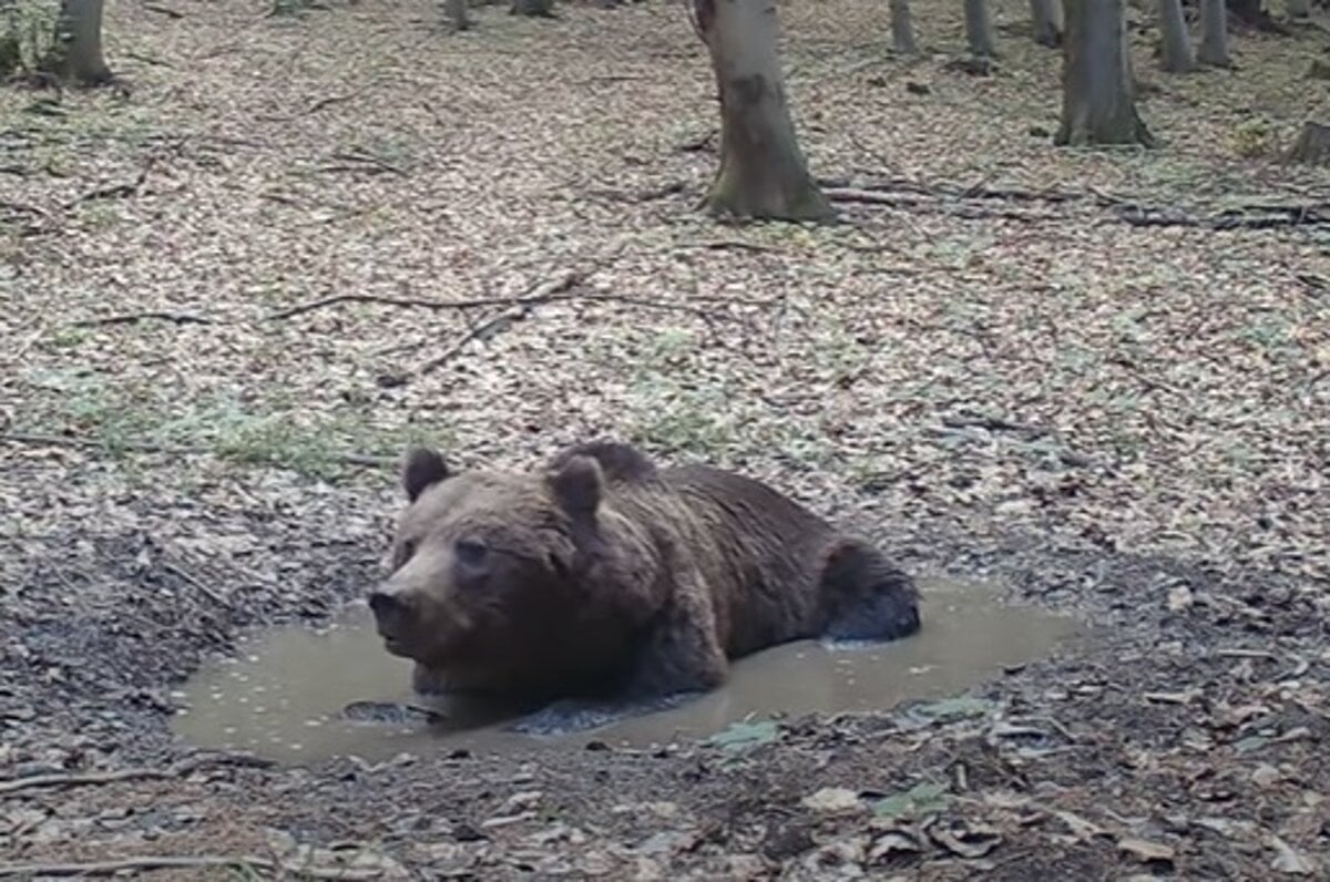 Martincan sleduje horsky wellness s unikatnymi zabermi