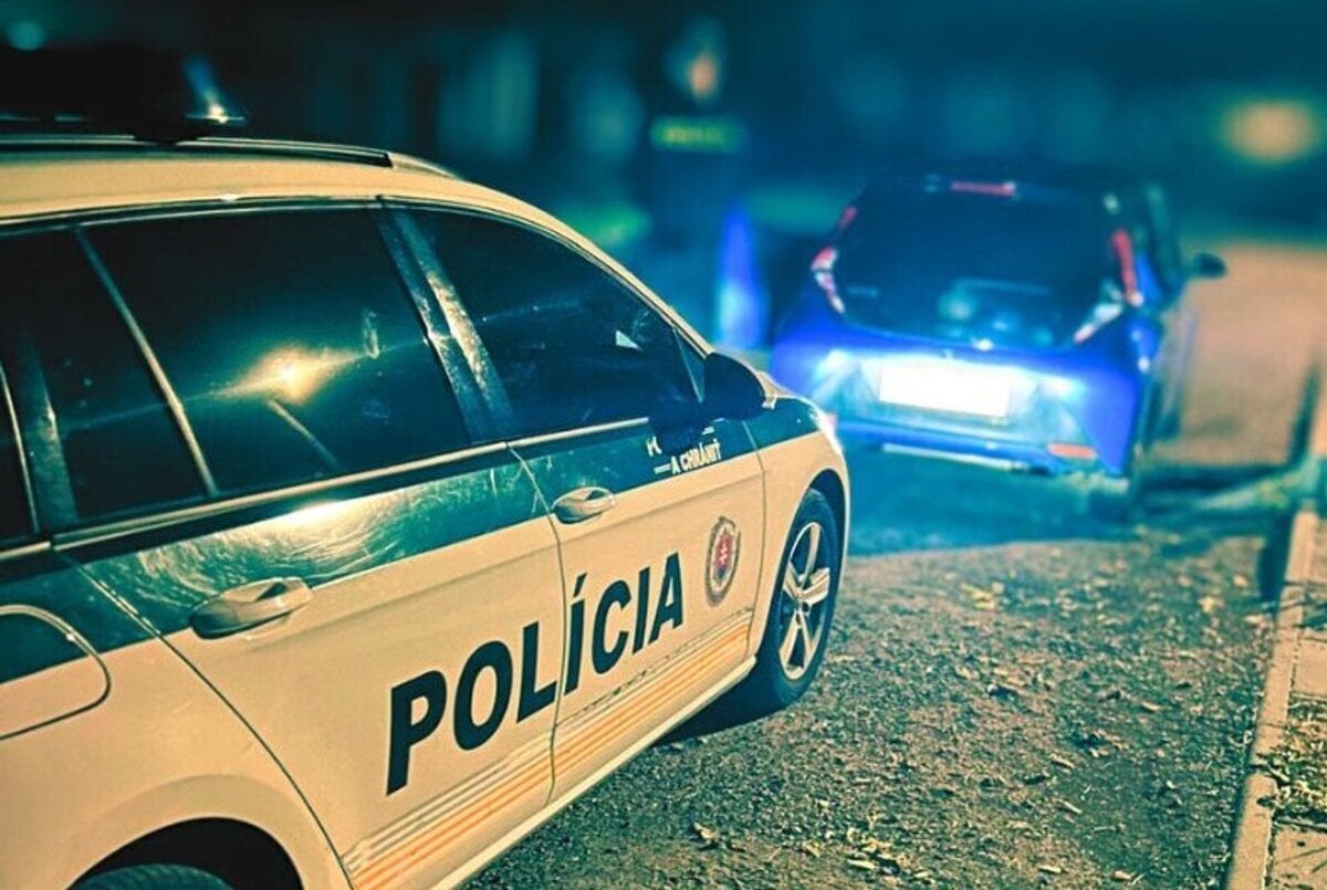 Policajti sa nestacili cudovat pri vodicovi