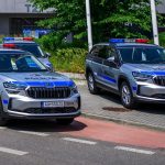 Vlani dominovali kradeze v trestnej cinnosti