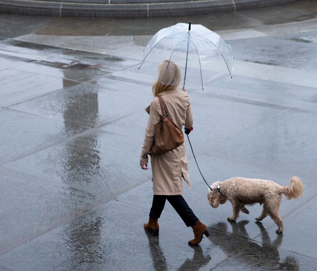 Dazd sa moze vyskytnut v noci a v piatok doobeda