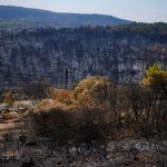 Hasici dostali pod kontrolu lesny poziar v Juznom Francuzsku