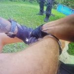 Muza ktory strielal na syna poslal sudca do vazby