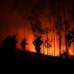 Na juhu sa varia zaziva na severe su soby nehybne