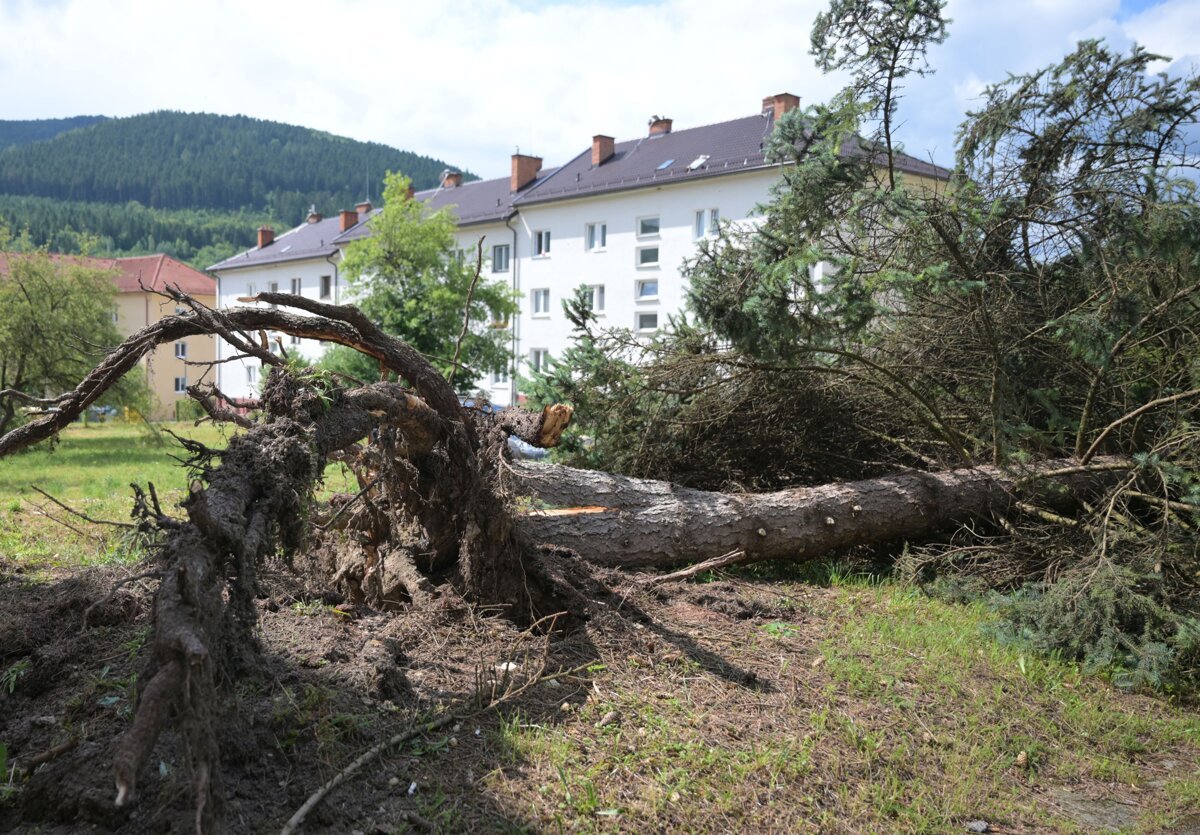 Obce zasiahnute veternou smrstou dostali 400 tisic eur