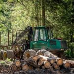 Slovensko bude pokracovat v tazbe dreva tvrdi Taraba