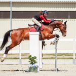 Vo svete sposobil senzaciu dochodkuje na Slovensku