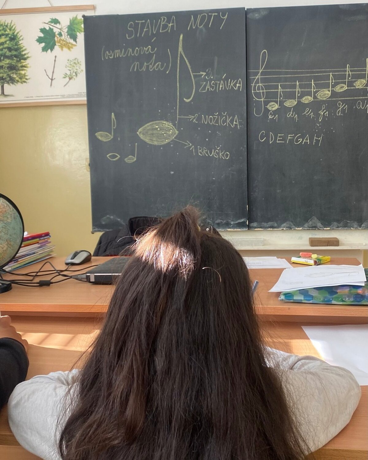 Jeden clovek posobi v siestich sukromnych skolach Jednu chcu inspektori zatvorit