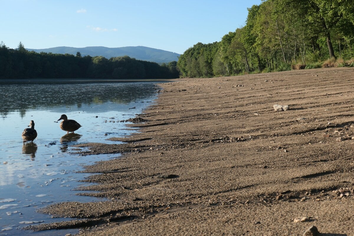 Vodna plocha sa zmensila o polovicu rybari biju na poplach