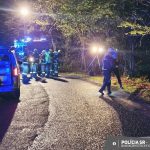 Auto sa zrutilo zo svahu zastavili ho stromy Dvaja ludia neprezili