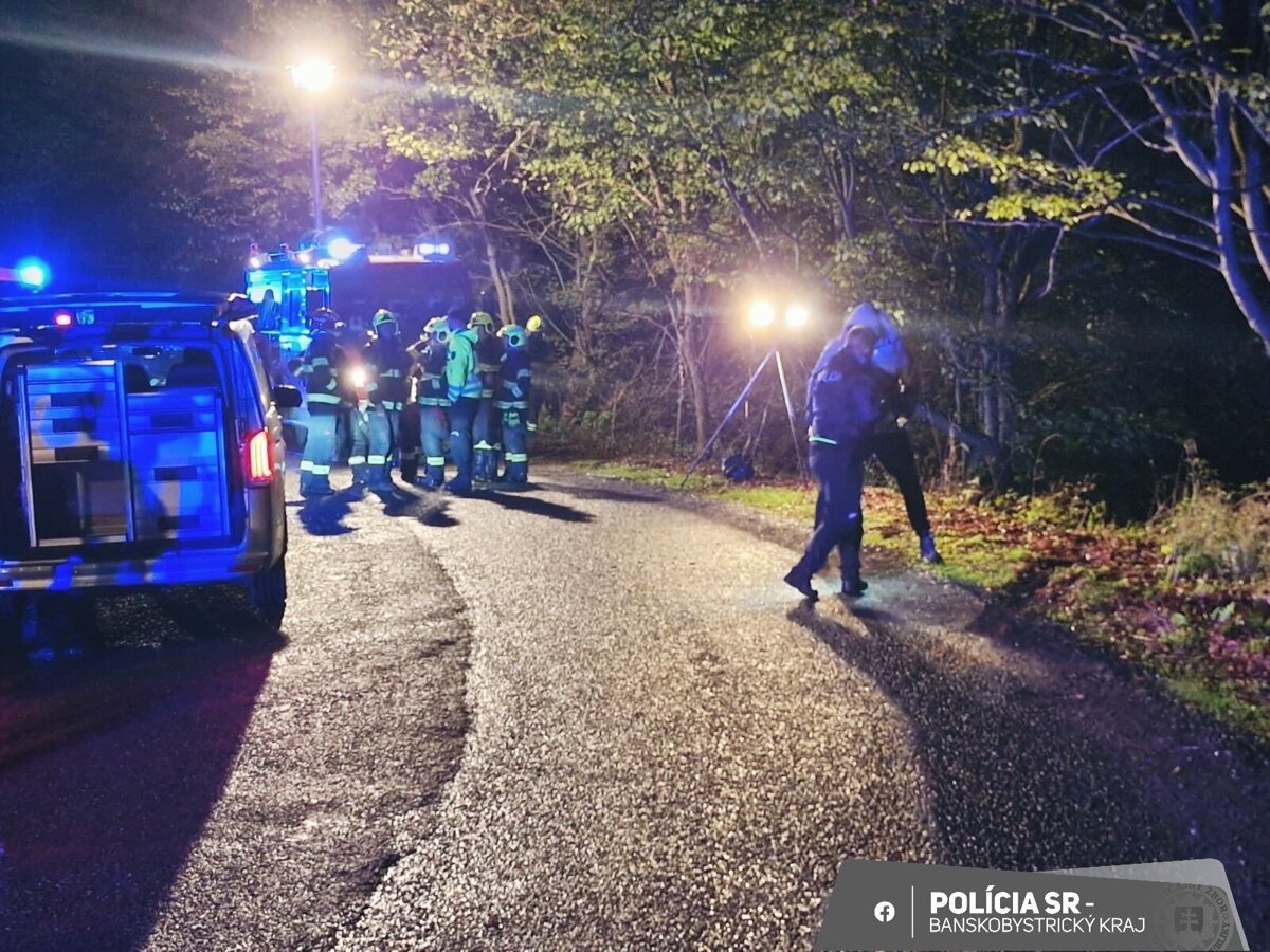 Auto sa zrutilo zo svahu zastavili ho stromy Dvaja ludia neprezili