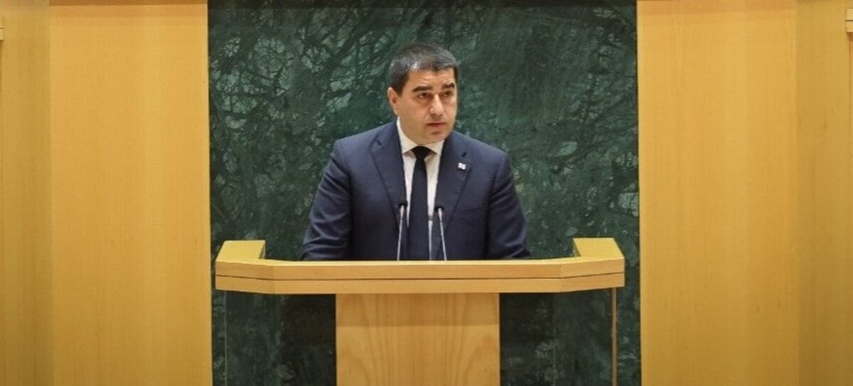 Gruzinsk vladna strana poziadala sud o zakaz troch opozicnych stran