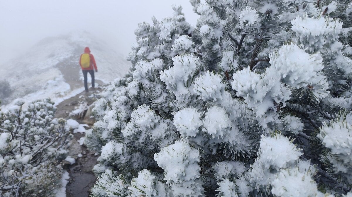 Rohae zasypal sneh pribalit viac oblecenia