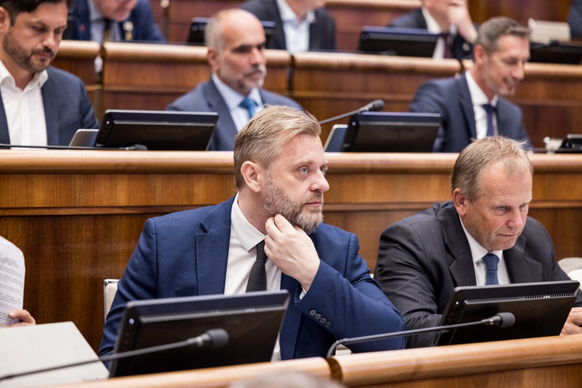 SaS chce presadit zakon o dobrovolnickych jednotkach policie