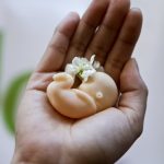 Spaneliska vlada chce zakotvit pravo na interrupciu