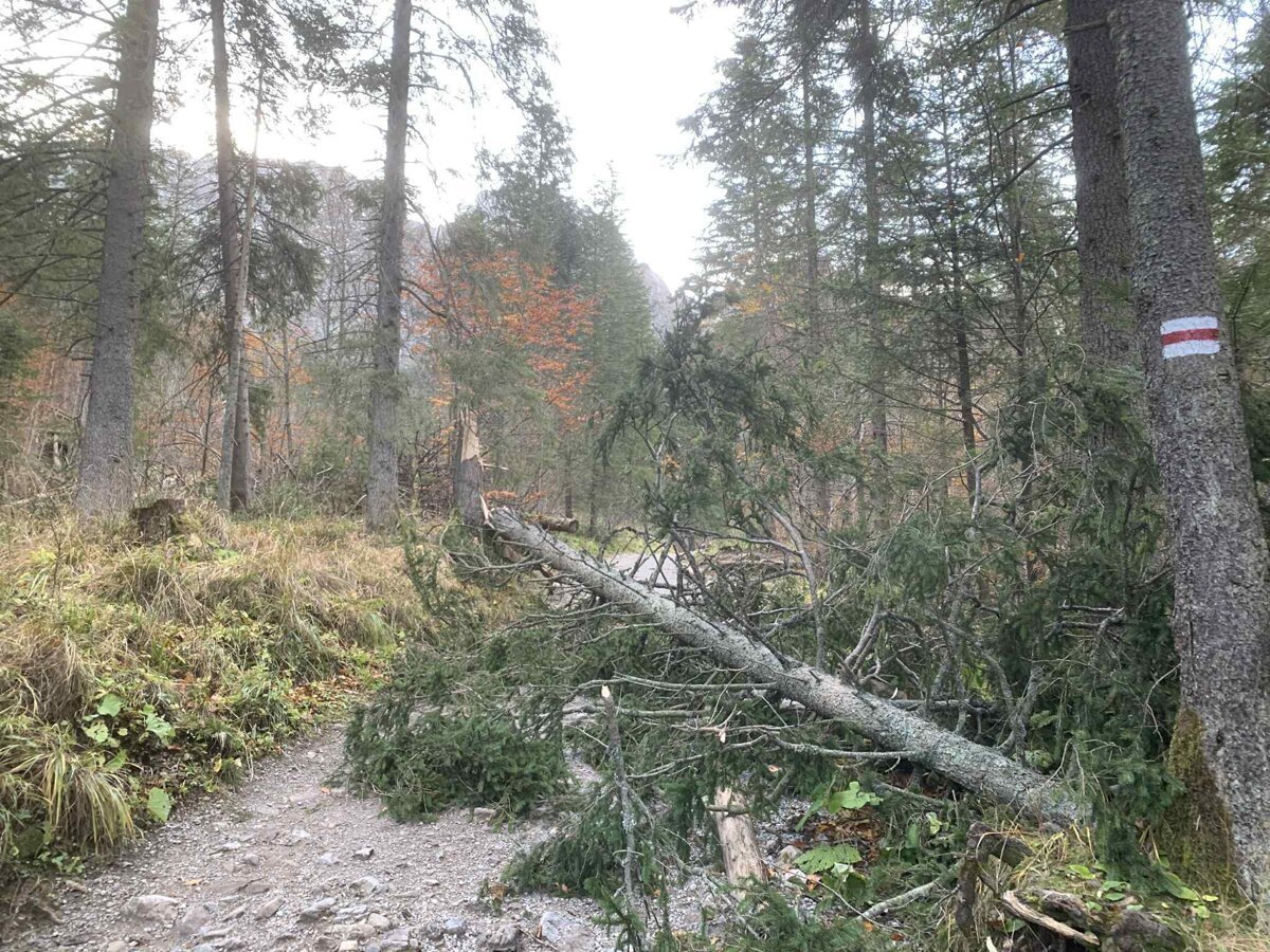 Vietor v noci v Tatrach vyvracal stromy fukal rychlostou 130 km h