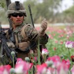 Ako chcela CIA zabranit Talibanu zbohatnut na heroine