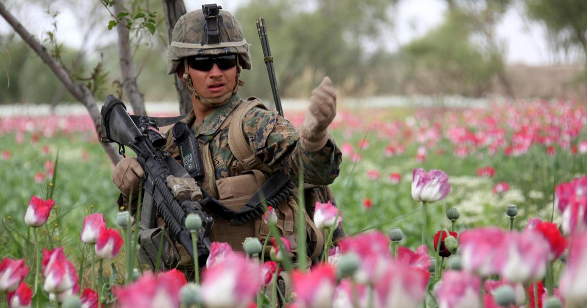 Ako chcela CIA zabranit Talibanu zbohatnut na heroine