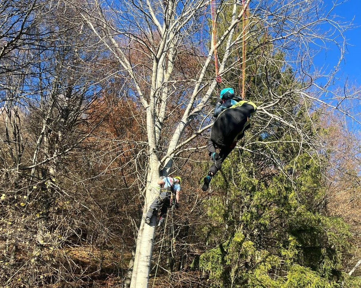 Drama na Straniku Paraglajdistka uviazla v korune stromu
