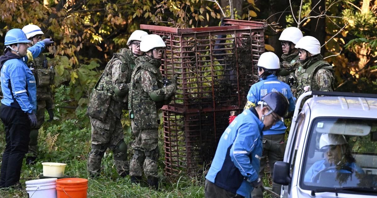 Japonsko chce zapojit byvalych policajtov do boja proti medvedom