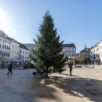 Na Hlavnom namesti postavili vianocny stromcek