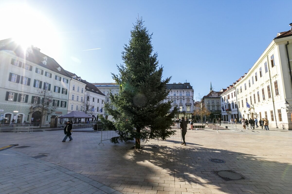 Na Hlavnom namesti postavili vianocny stromcek