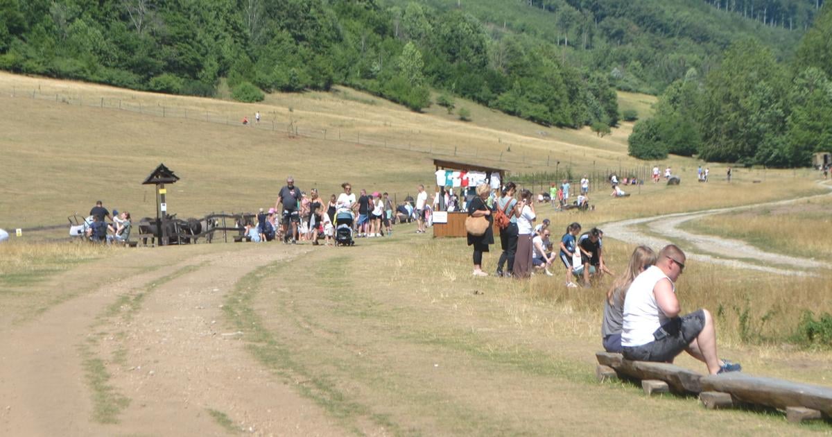 Prilakala cez 300 tisic ludi hrady tromfla