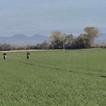 Z polnych ciest robia pretekarske drahy