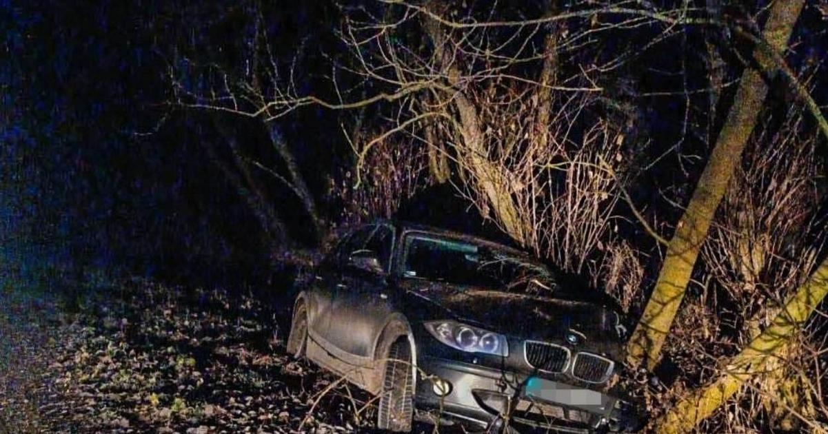 Deti za volantom Dvanastrocneho chlapca zastavili patnastrocny narazil do stromu