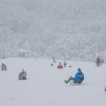 Dopravny podnik v Bratislave spusta zimnu sezonu linky 144