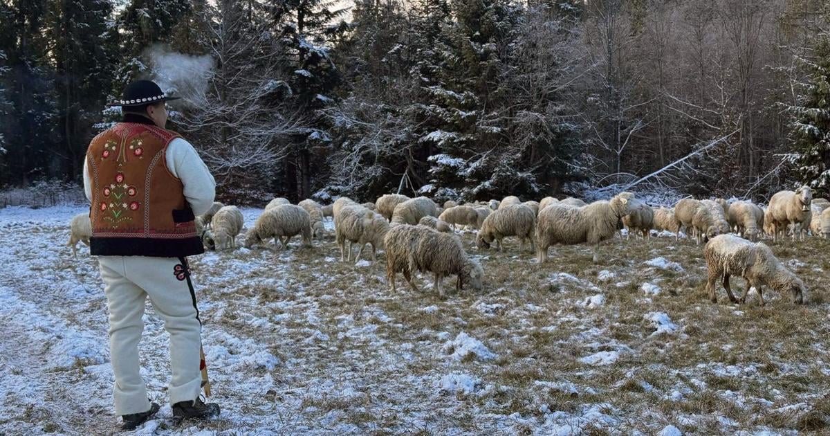 Pastieri patrili k vianocnym sviatkom a divadelnym hram