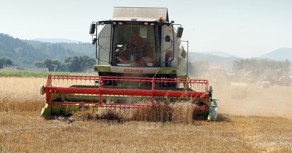 Platobna agentura rozhoduje o priamych podporach pre polnohospodarov v Kampani 2025