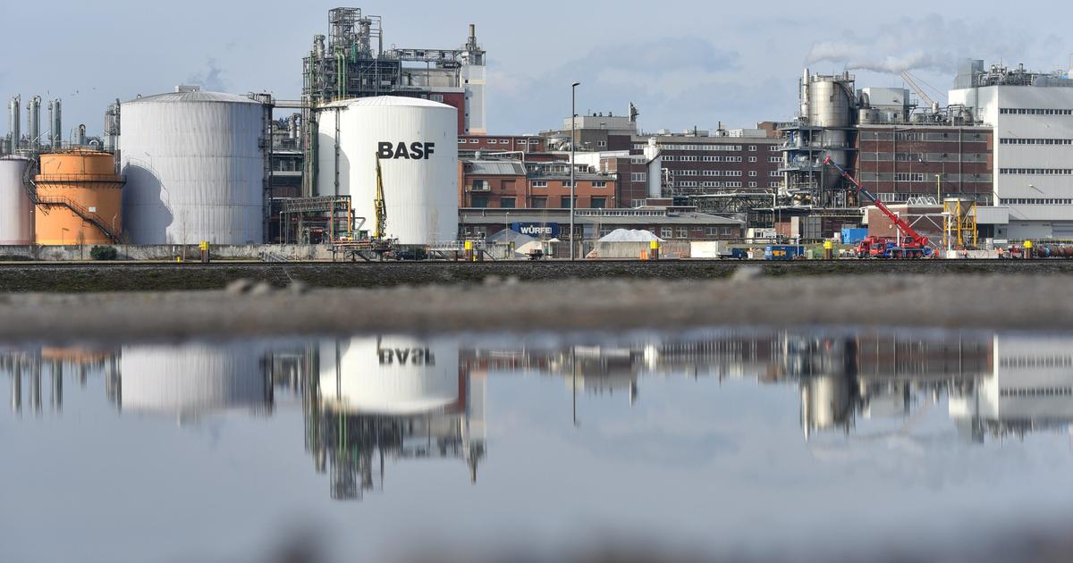 Sef koncernu BASF odmieta tvrdenia o deindustrializacii Nemecka