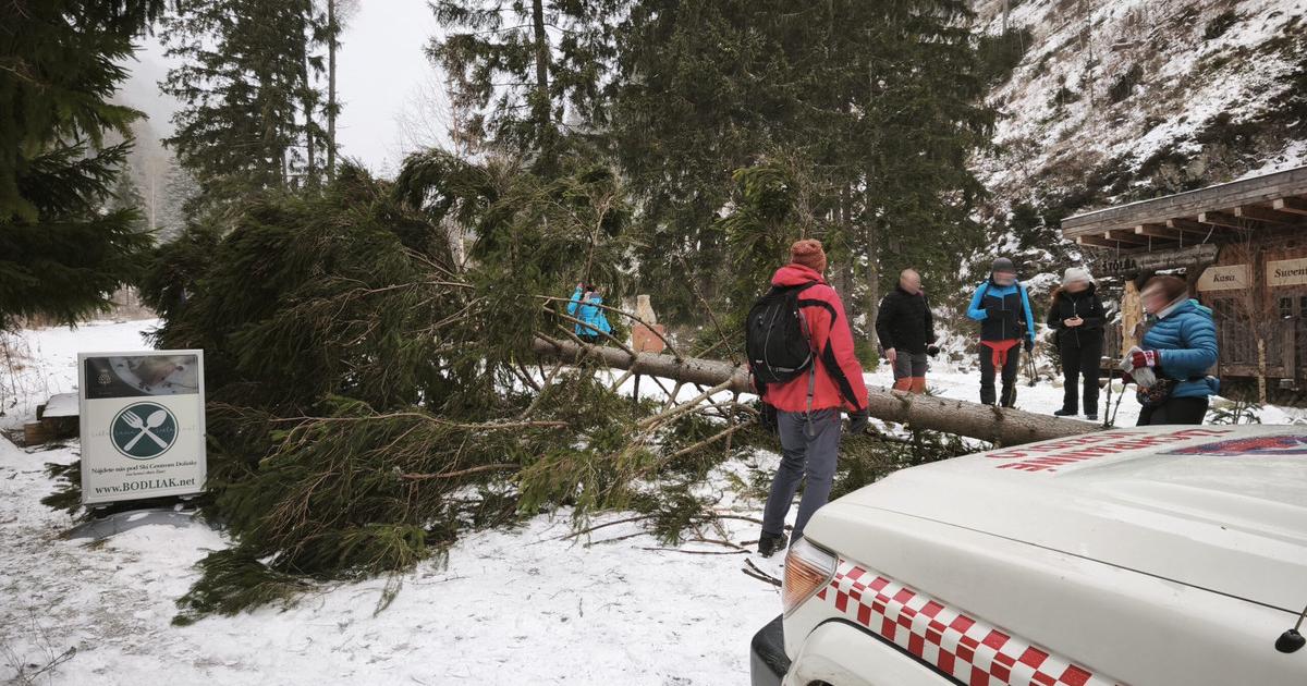 Silny vietor v Ziarskej doline vyvratil strom zasiahol turistov