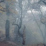 Viackrat vyhorel definitivnu bodku dal cisar Napoleon