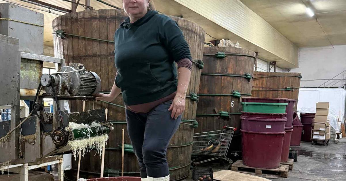 Vo Svederniku tlacia kapustu nohami