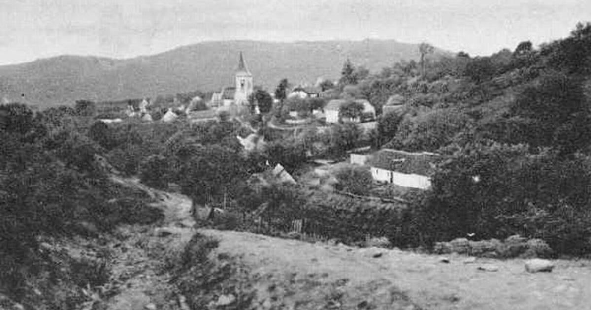 Kolesa nestastia