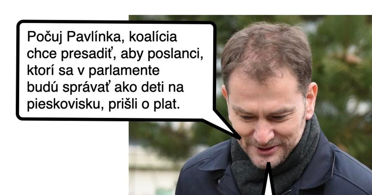 Matovicova jasna volba Cynicka obluda