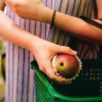 Medzirocna inflacia v Nemecku sa podle predbezneho odhadu v januari zvysila