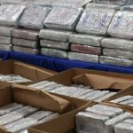 Nedaleko Azorskch ostrovov zadrali historicky najvyie mnostvo kokanu