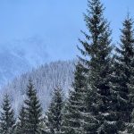 SHMU varuje pred snehovymi zavejmi a vichricou