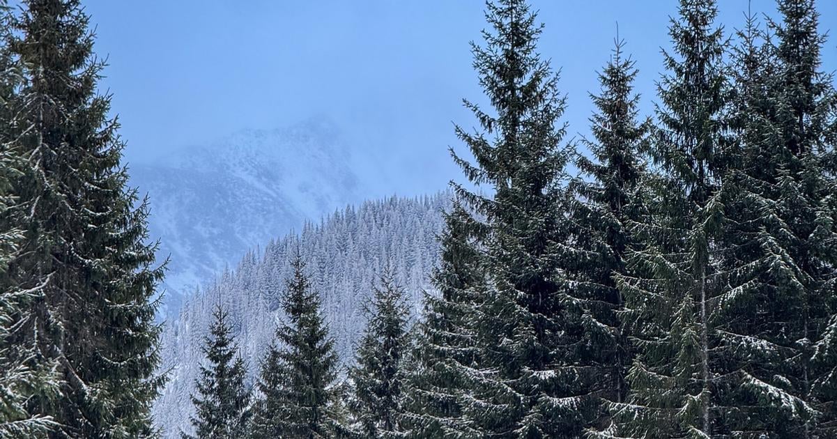 SHMU varuje pred snehovymi zavejmi a vichricou