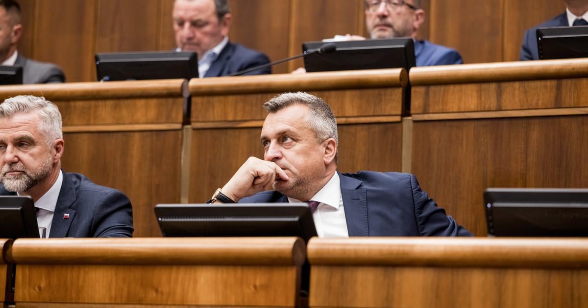 SNS bude v buducnosti tlacit na zrusenie dane