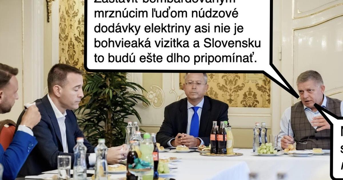Cynicka obluda Budovanie buducej reputacie Slovenska