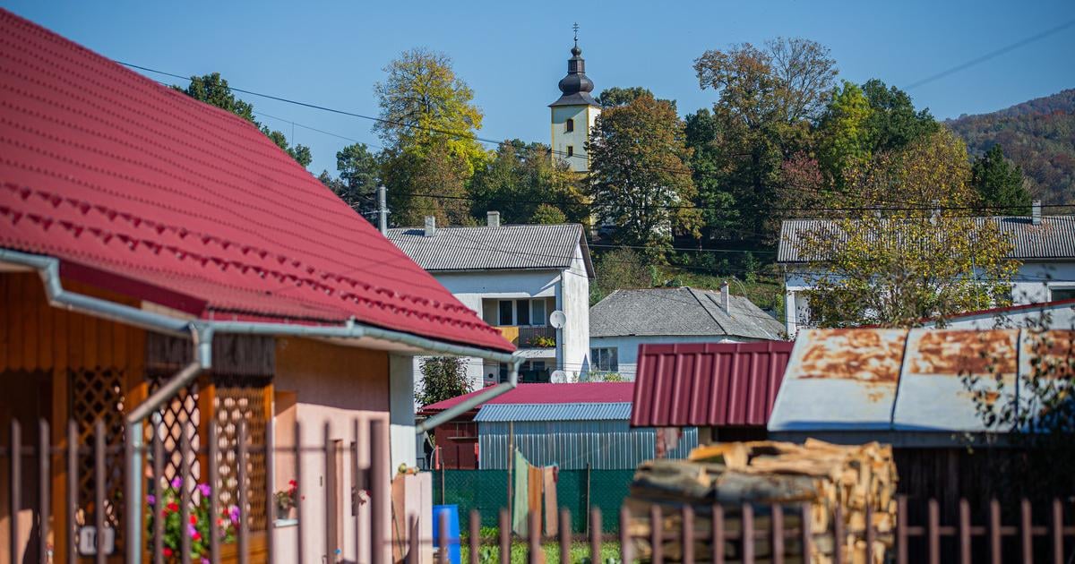 Novy obciansky zakonnik sa zaobera aj susedskymi vztahmi Kto je vlastnikom ovocia z precnievajucich vetiev a kto ich bude moct orezat