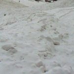 Pad laviny vo Vysokych Tatrach si vyziadal zivot 32 rocneho muza Korzar Spis a Gemer SME