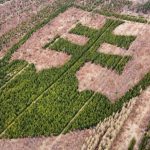 Rarita o ktorej ste zrejme netusili Statny zna k v Horovciach vysadil zapaleny dobrovolnik