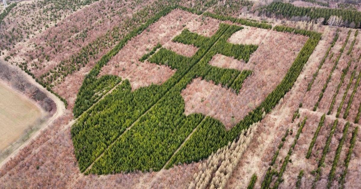 Rarita o ktorej ste zrejme netusili Statny zna k v Horovciach vysadil zapaleny dobrovolnik
