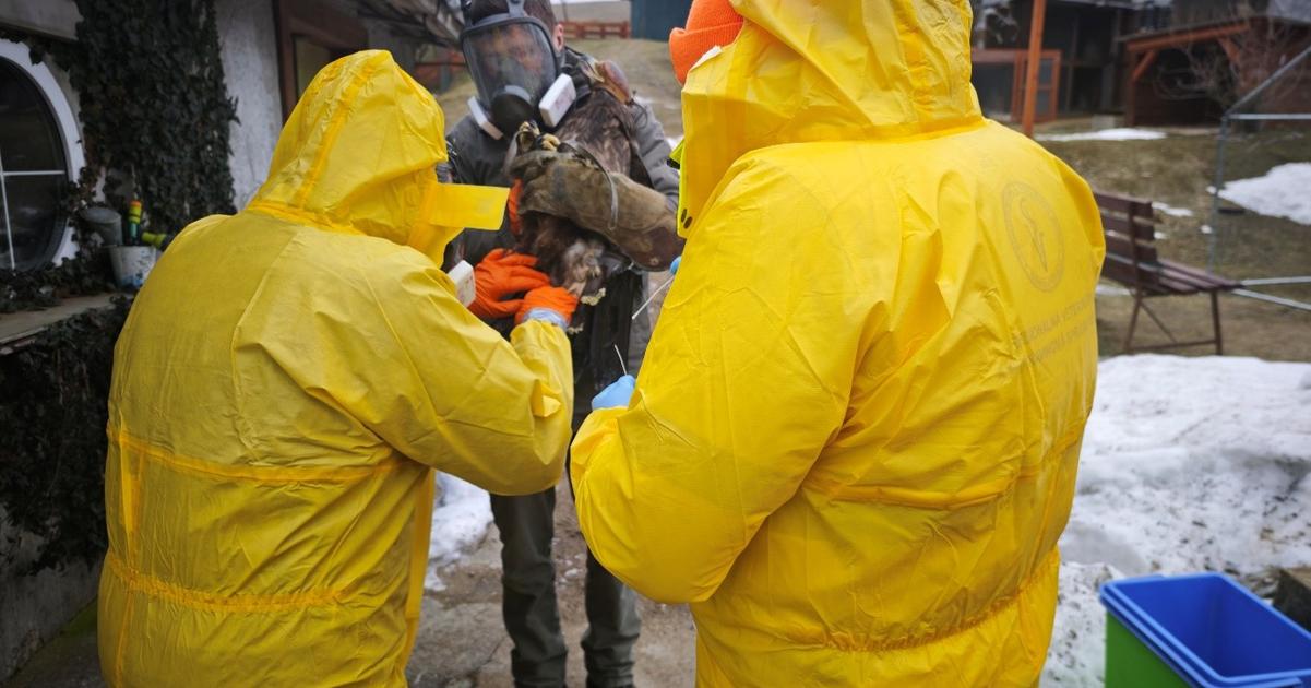 U vtakov chovanych v zajati v obci Klenov bol potvrdeny virus vtacej chripky