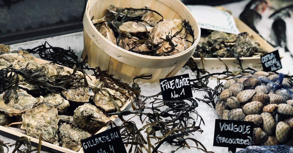 Dlhy v starej firme biznis v novej Znana bratislavska restauracia mala problemy s danovym uradom