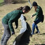 Migracne zabrany chrania zaby pred smrtou pod kolesami aut no ich populacia aj tak vyrazne klesa